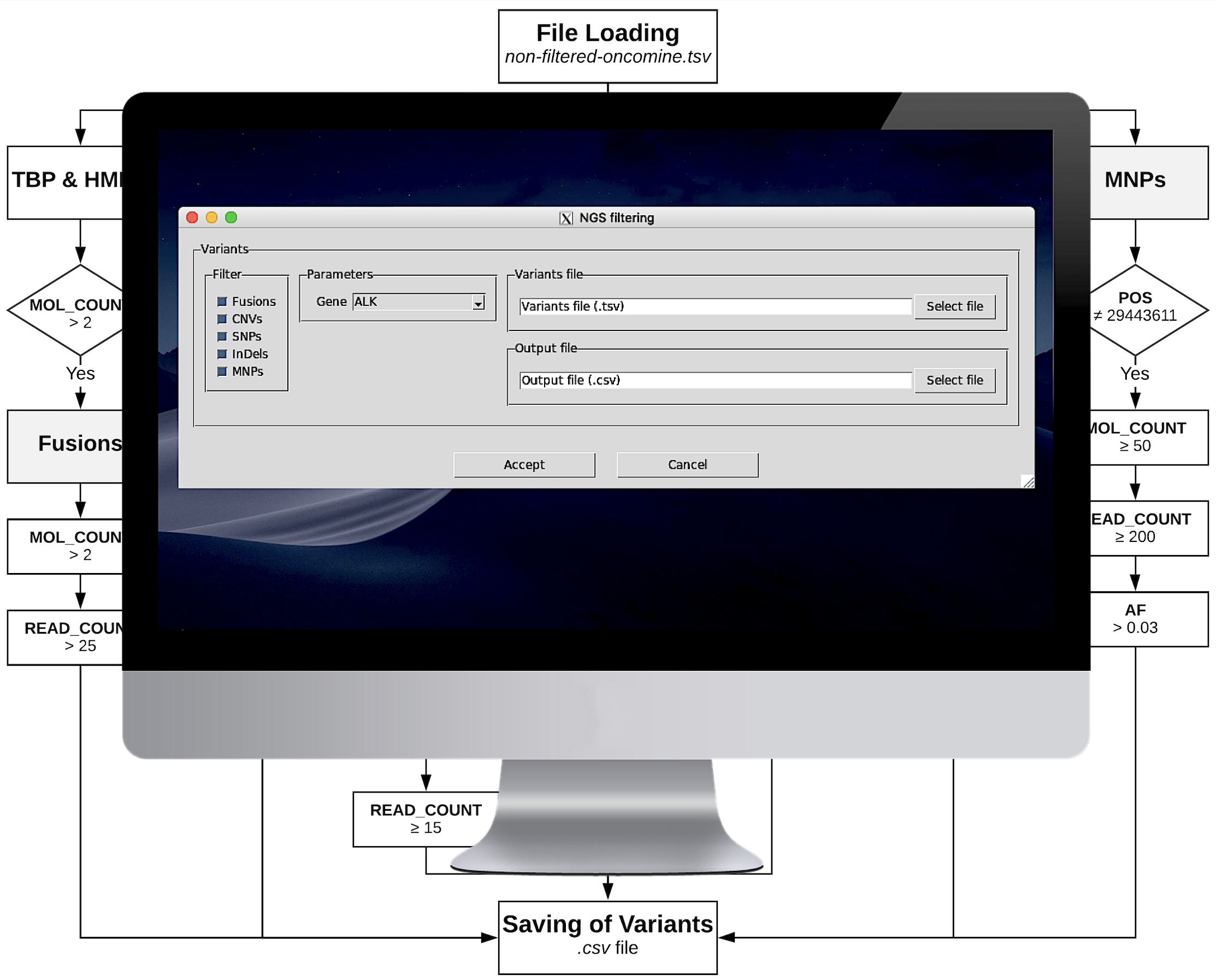 vALK bioinformatics pipeline